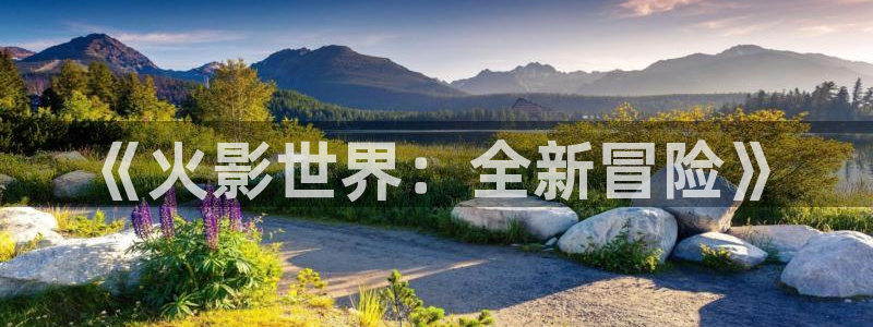 豪门国际预测在线预测专业28：《火影世界：全新冒险》