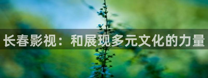 老子影院午夜不卡：长春影视：和展现多元文化的力量