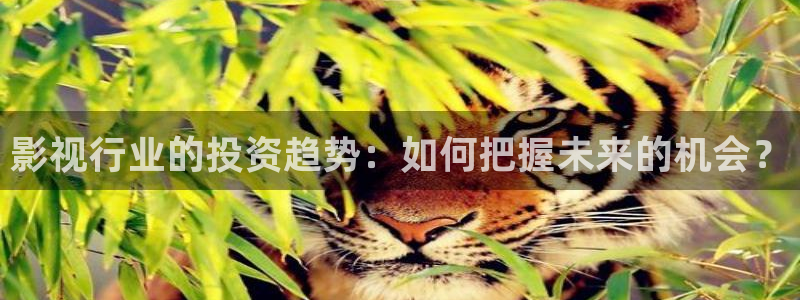 达达兔神马老子影院：影视行业的投资趋势：如何把握未来的机会？