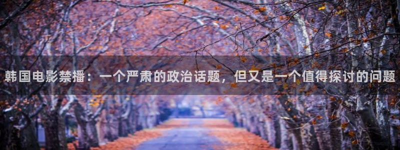 老子的电影在线观看：韩国电影禁播：一个严肃的政治话题，但又是一个值得探讨的问题